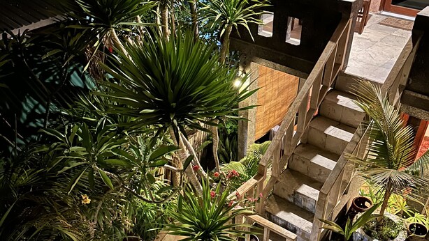 Uma escadaria com corrimão de madeira leva a um espaço coberto com plantas em vasos e uma parede de pedra.