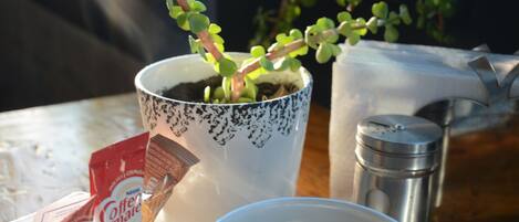 Una mesa con una taza de café, una planta pequeña en una maceta decorativa, un salero y sobrecitos de leche para café.