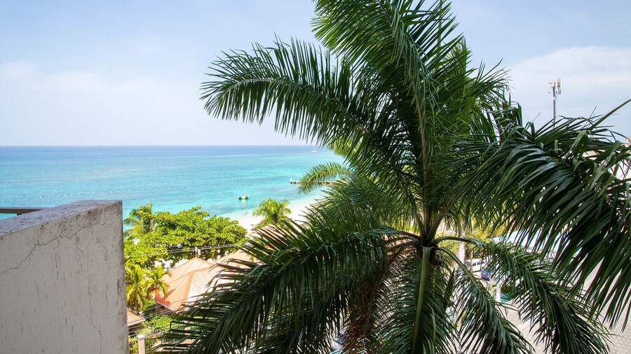 Sky Lounge Beach Studio At Monego Bay Club Resort
