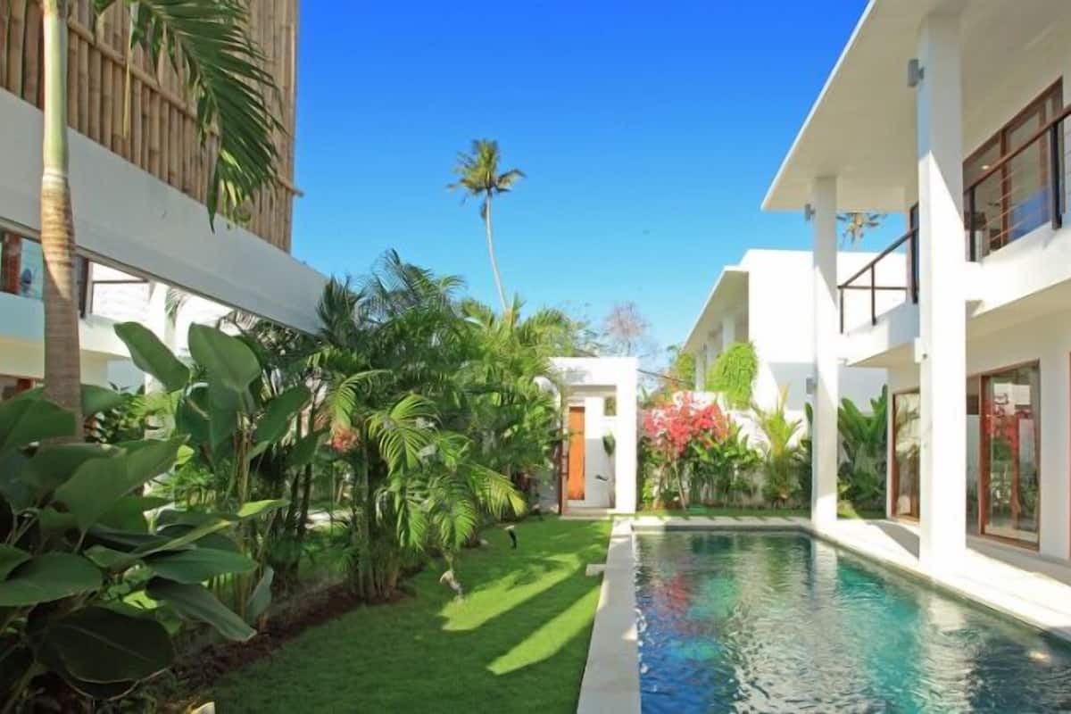 A modern house with a swimming pool, lush tropical plants, and a clear blue sky.