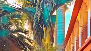 Un edificio con fachada roja y ventanas arqueadas, rodeado de abundante follaje y palmeras.