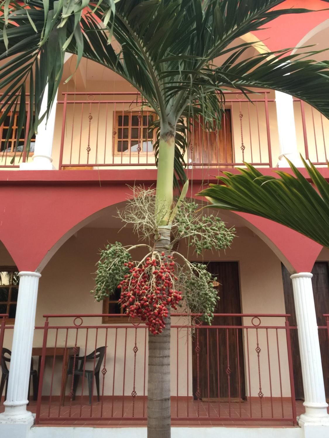 A two-story building with a red facade and white columns.