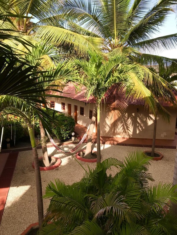 A courtyard with palm trees, a hammock, and a building with a red roof.
