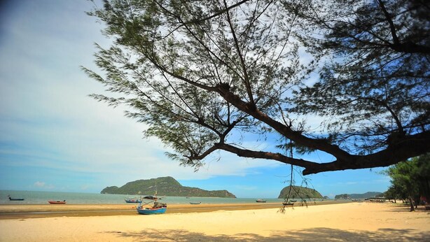 A beach with boats, a large tree, and distant islands.