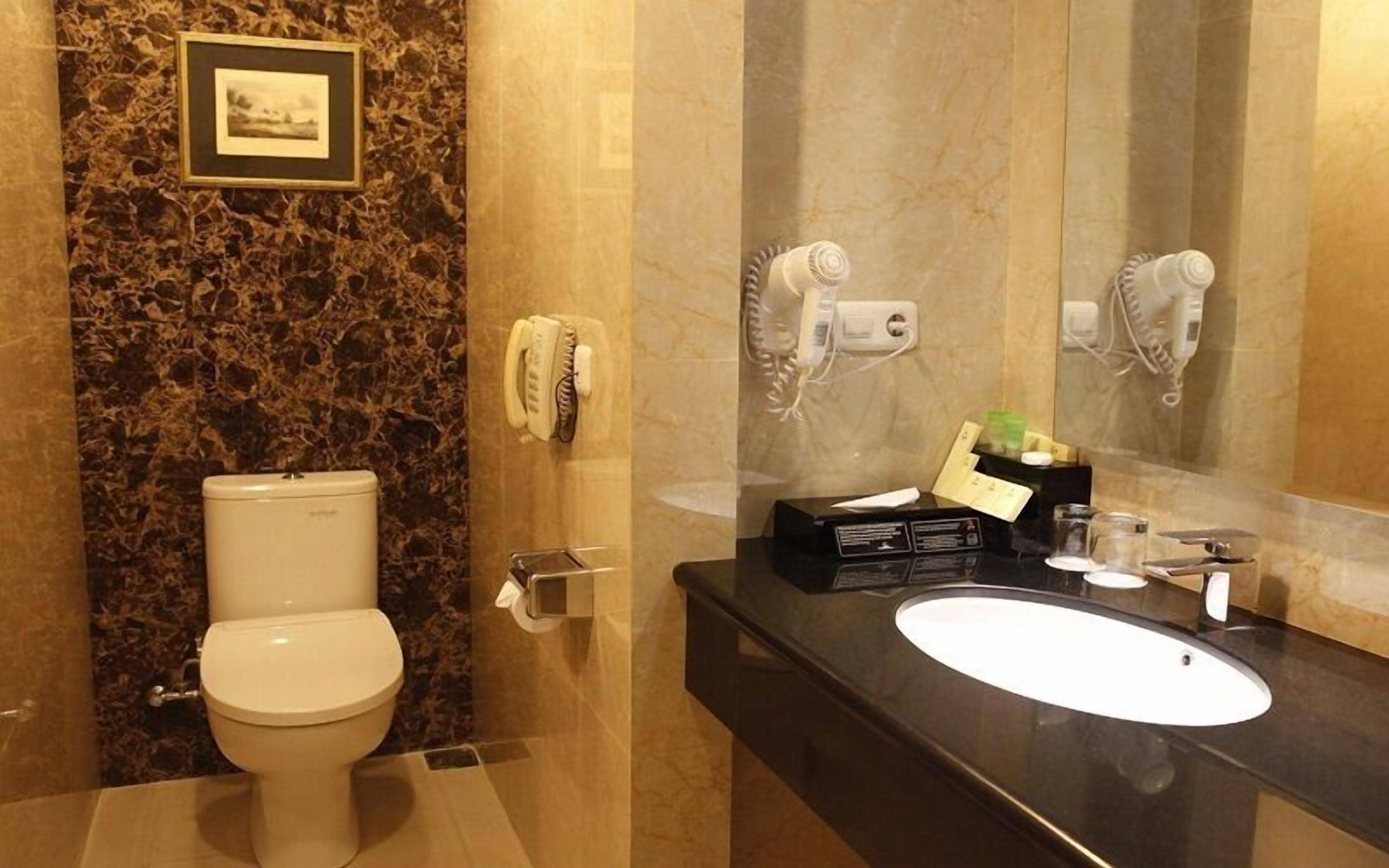 A bathroom with a toilet, a sink, a mirror, and a hairdryer.