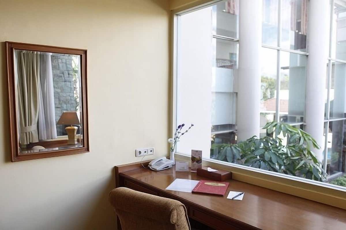Superior Suite | View from room