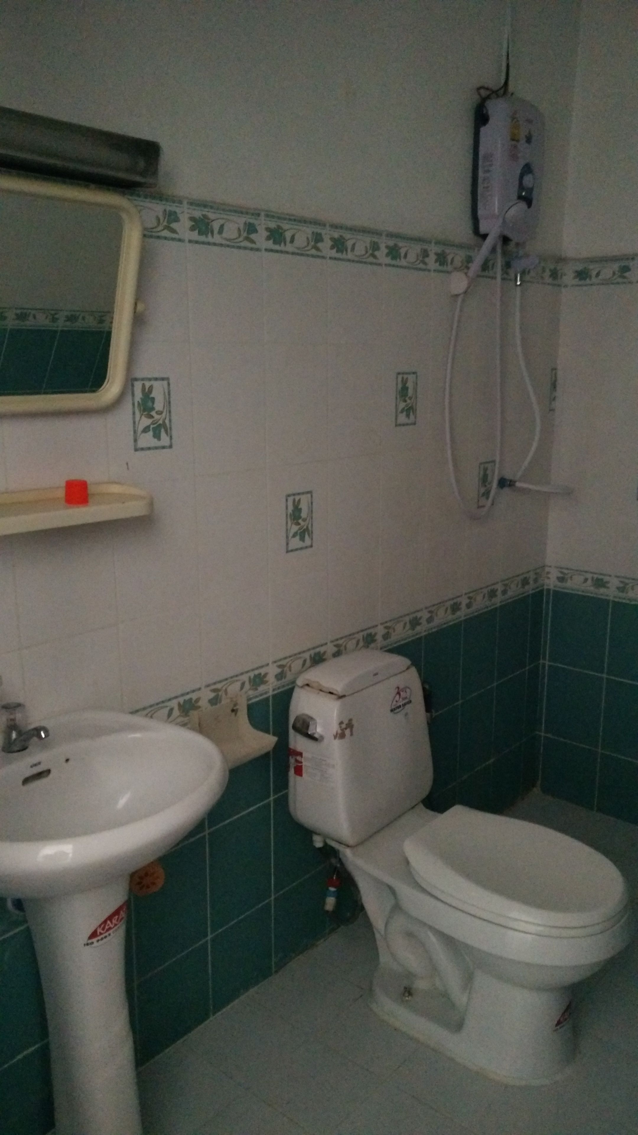 Ein Badezimmer mit einem weißen Waschbecken, einer Toilette und einem an der Wand befestigten Duschkopf.
