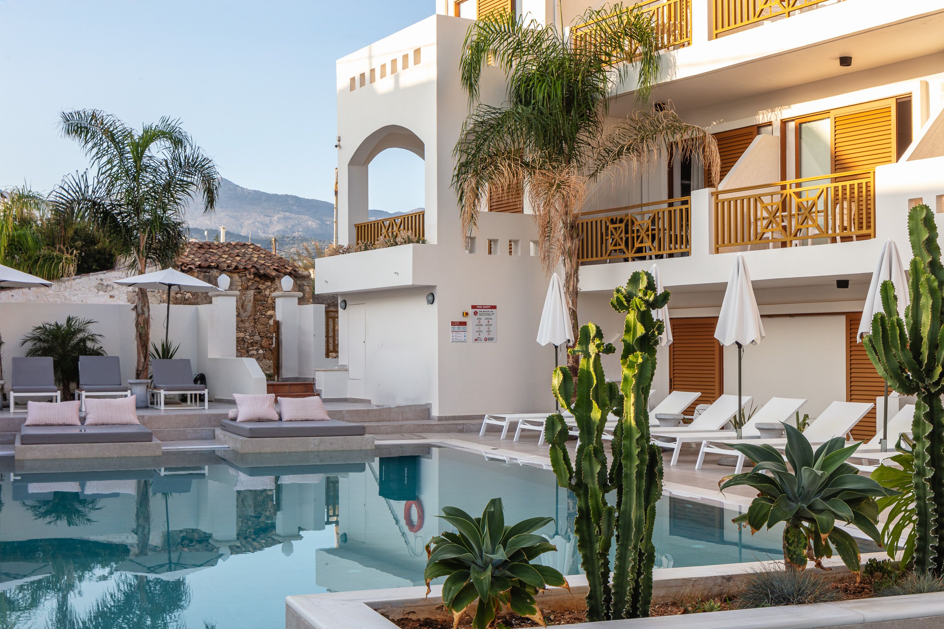 Uma área de piscina com espreguiçadeiras, piscina e cactos.