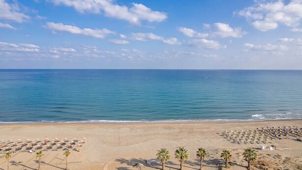 A beach with rows of umbrellas and palm trees, a clear sky, and calm sea.