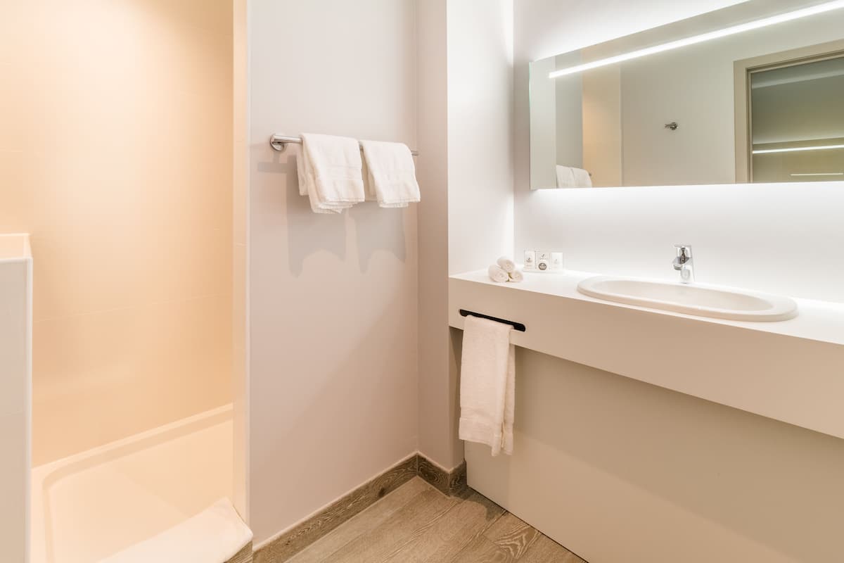 executive double room | bathroom sink