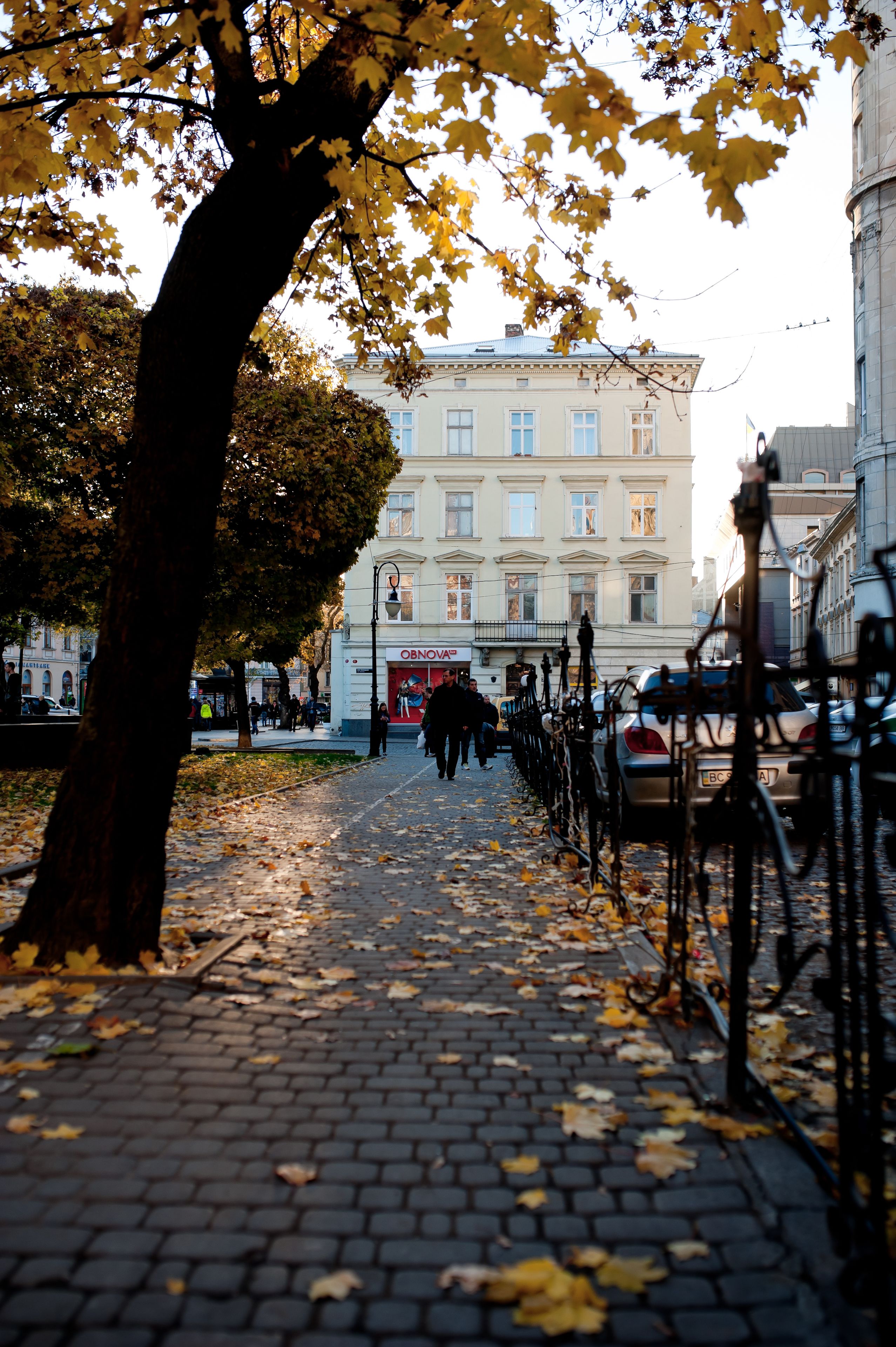 A cobblestone pathway lined with trees and parked cars, leading to a building with a sign that reads "OBNOVOV".
