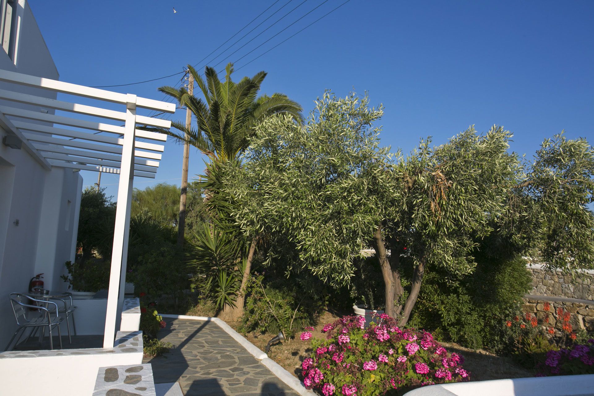 A white building with a covered patio area, stone pathway, and a garden with pink flowers and olive trees.