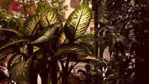 Señal del Hotel Nam Long con datos de contacto y una dirección web.