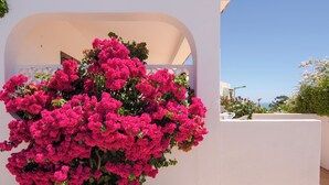 Ein weißes Gebäude mit einem großen Blumentopf mit rosa Blüten vor der Fassade.