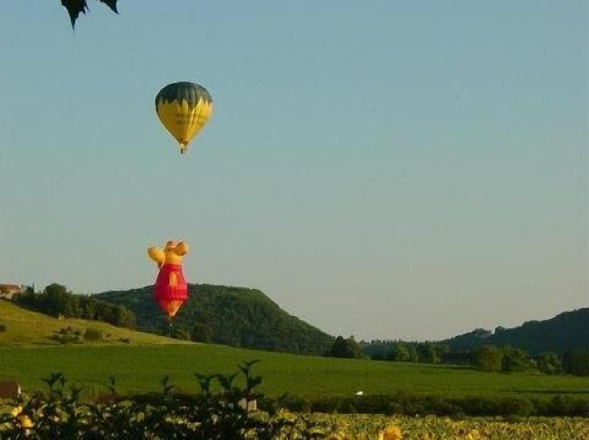 A landscape with a field, a hill, and a hot air balloon in the sky.