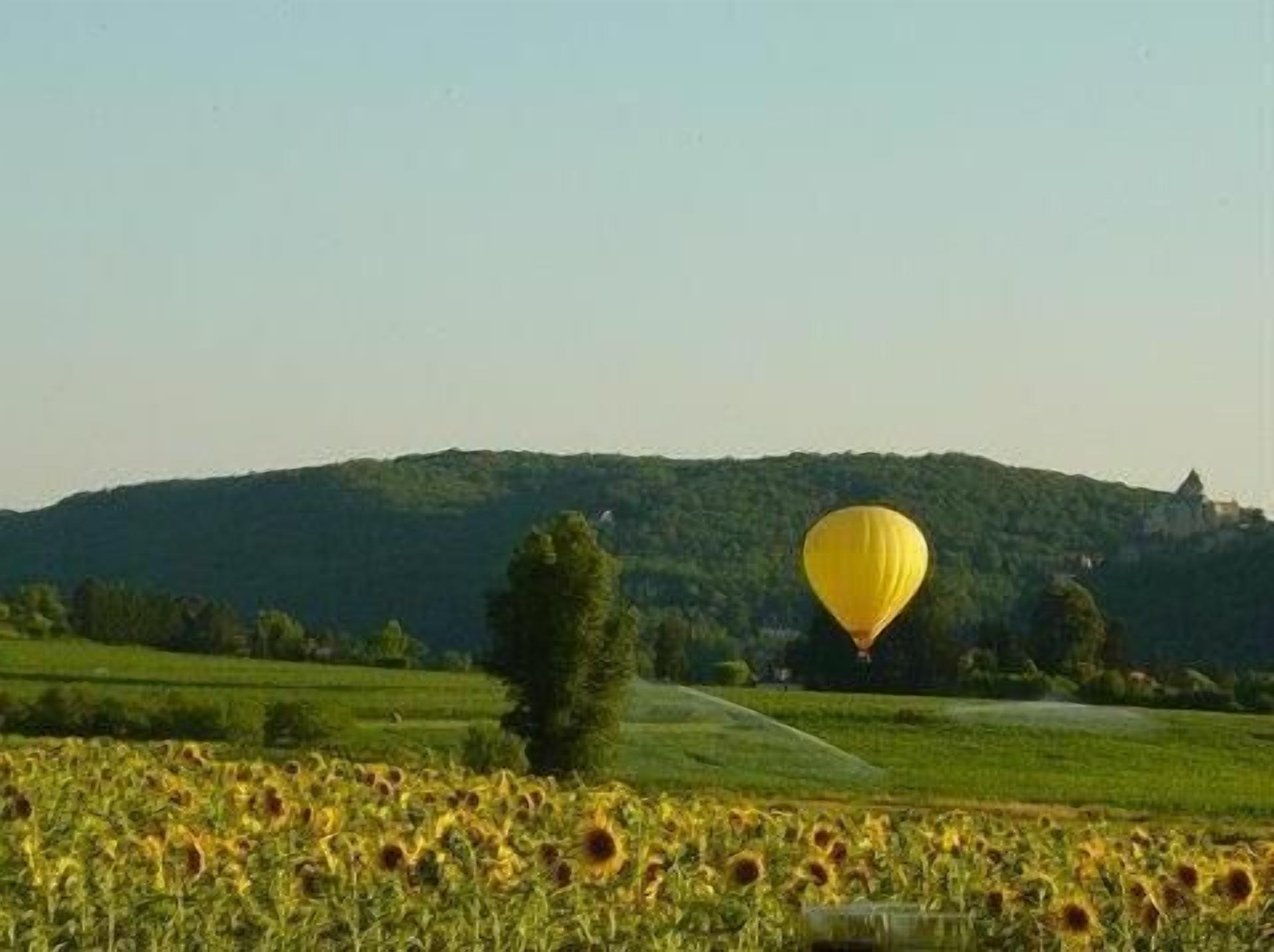 Un globo aerostático amarillo sobre un campo de girasoles, con una colina y un edificio al fondo.