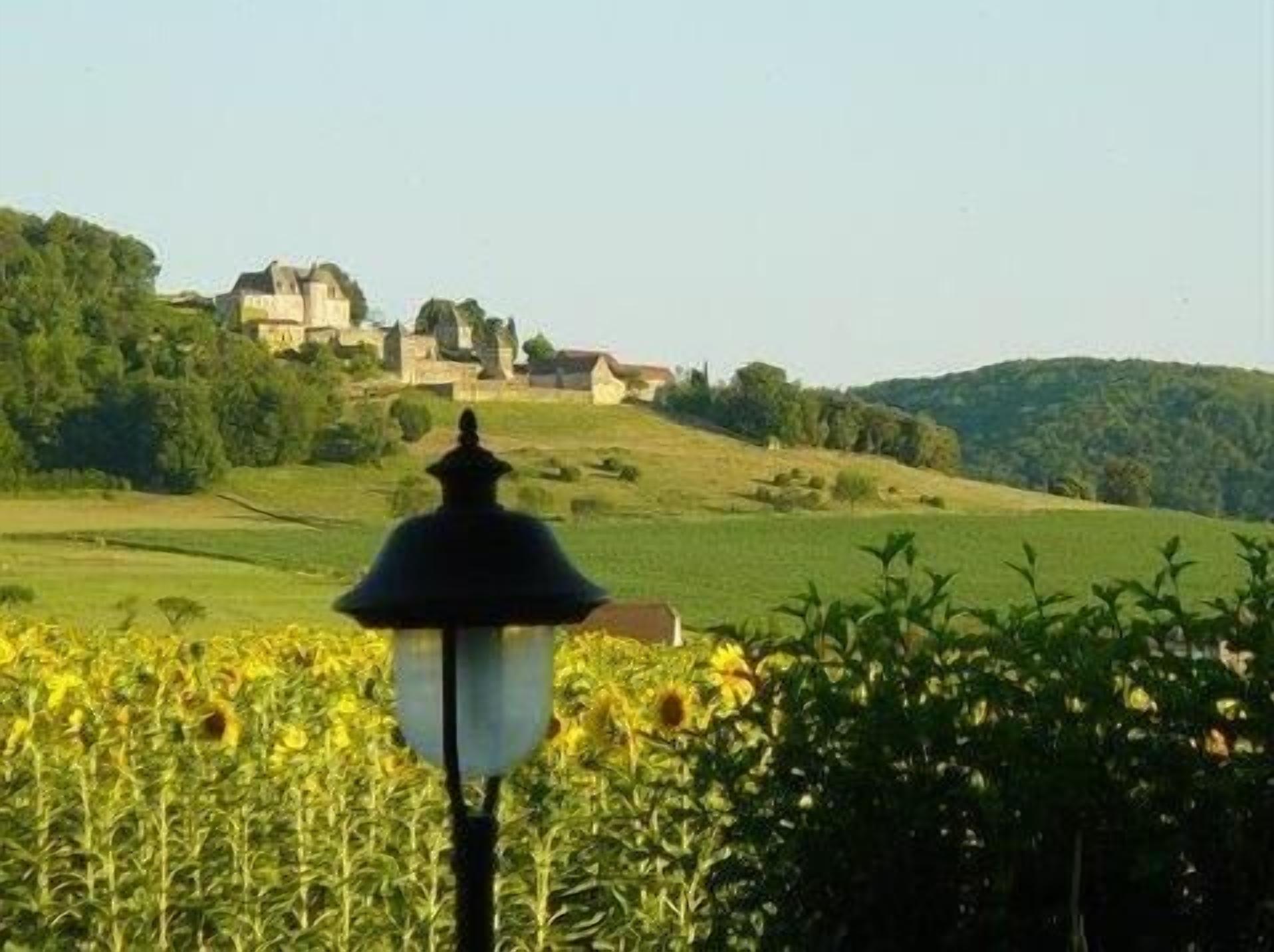 Paisaje rural con un campo de girasoles y un edificio distante en una colina.