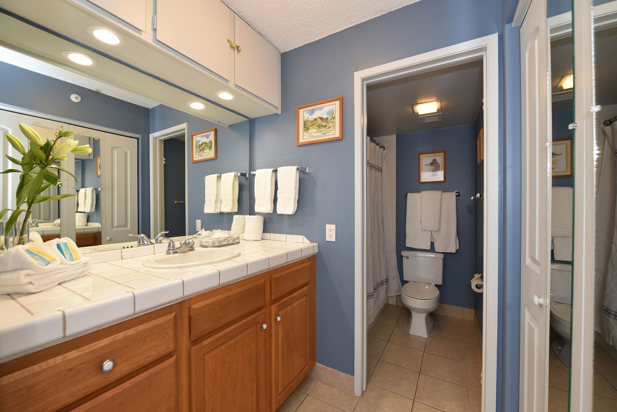 Une salle de bain avec un meuble-lavabo à deux vasques, des armoires en bois, un grand miroir et un espace douche.