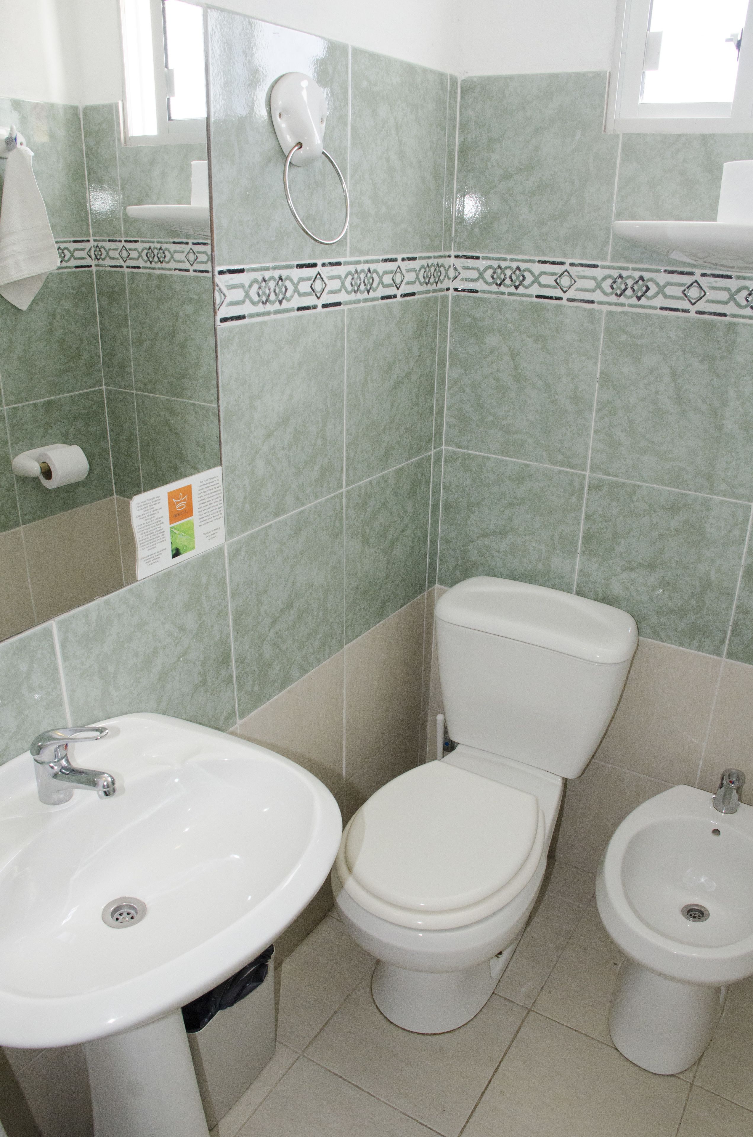 shower, free toiletries, hair dryer, bidet