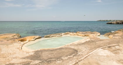 Stingray Beach Studio