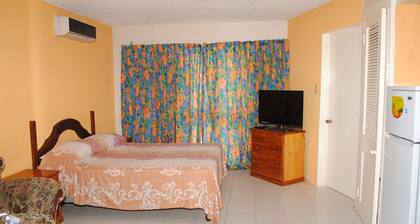 Stingray Beach Studio