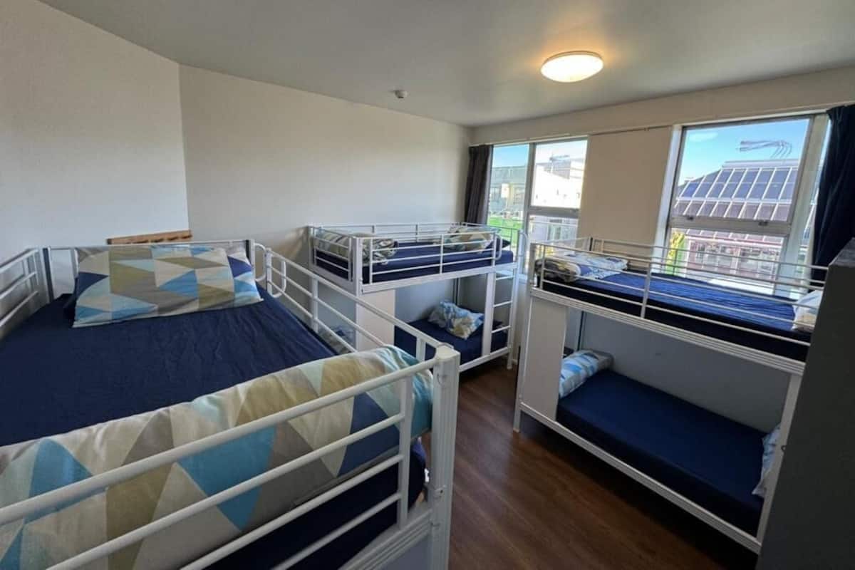 Yhteismajoitus, sekamajoitus (6 Mixed Dorm) | Työpöytä, kannettavalle tietokoneelle sopiva työtila, ilmainen Wi-Fi