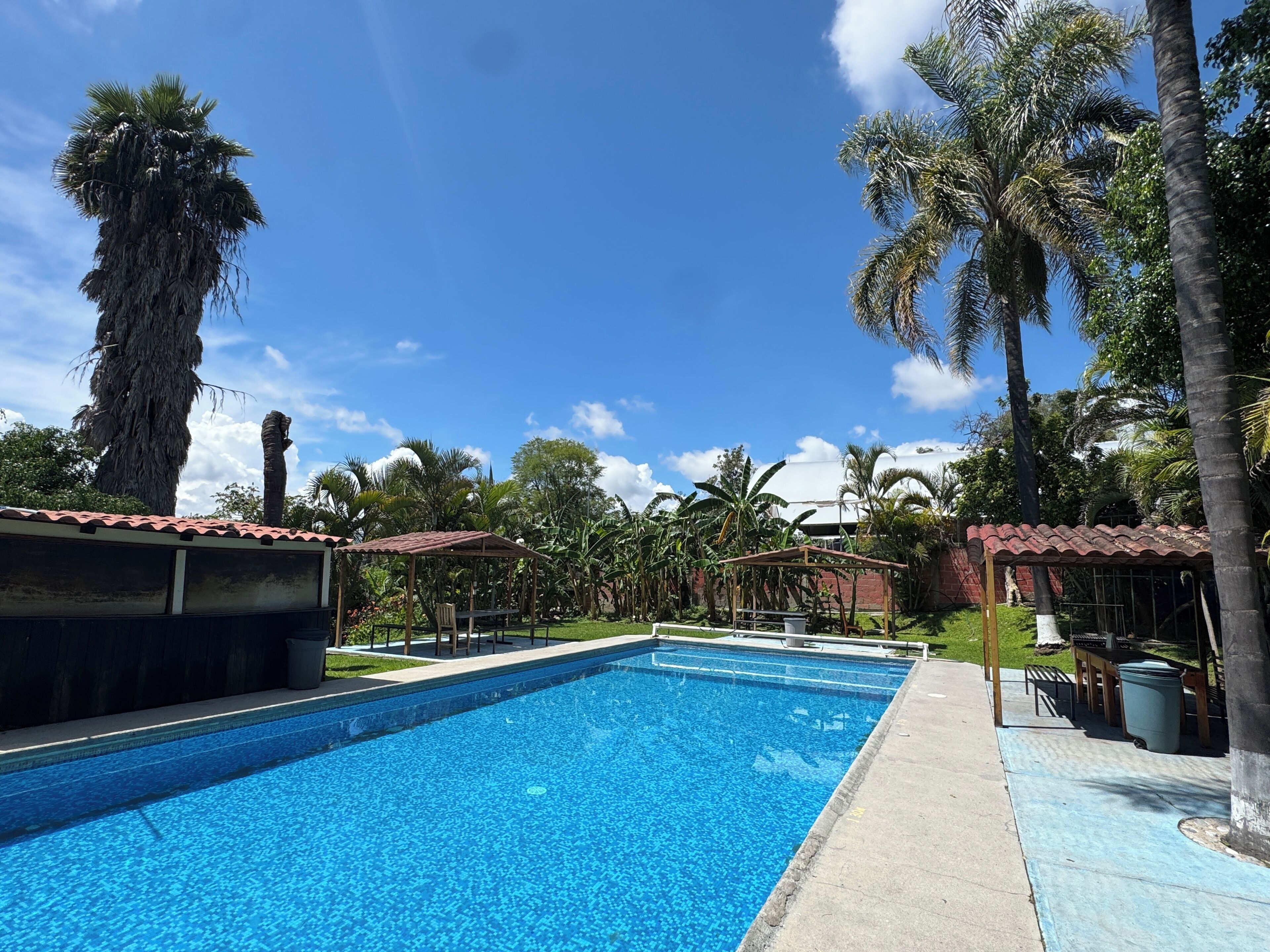 Una piscina azul cristalina rodeada de palmeras y un pabellón.