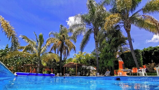 Una piscina azul cristalina rodeada de palmeras y un área de estar techada.