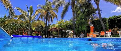 Piscine extérieure, chaises longues