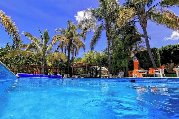 Piscina a l'aire lliure (horari: 08:00-21:00) i gandules