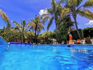 A clear blue pool surrounded by palm trees and a covered seating area. - Hotel Quinta Ventura (Ixtapan de la Sal)