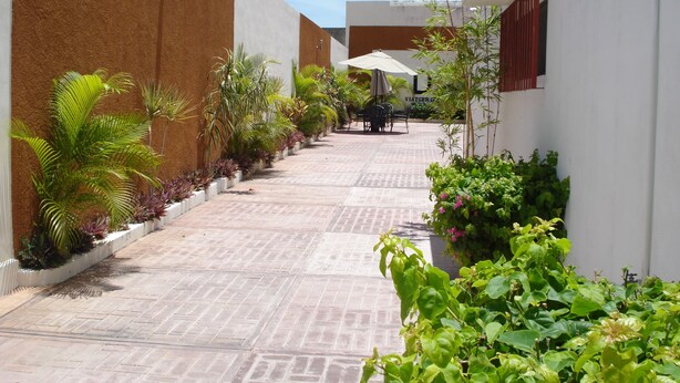 Uma passagem estreita pavimentada ladeada por edifícios, com uma fileira de plantas em vasos e uma mesa com cadeiras.