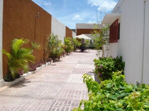 A narrow paved walkway flanked by buildings with a row of potted plants and a table with chairs. - Hostel Viatger Inn (Campeche)