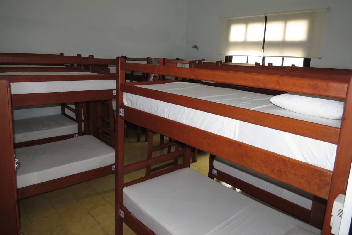 Bunk beds in a dormitory room with white bedding and a window with blinds.