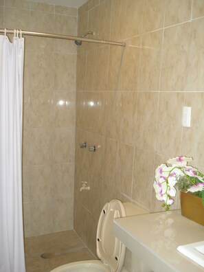 Habitación doble, baño privado | Baño | Ducha y artículos de higiene personal de diseño