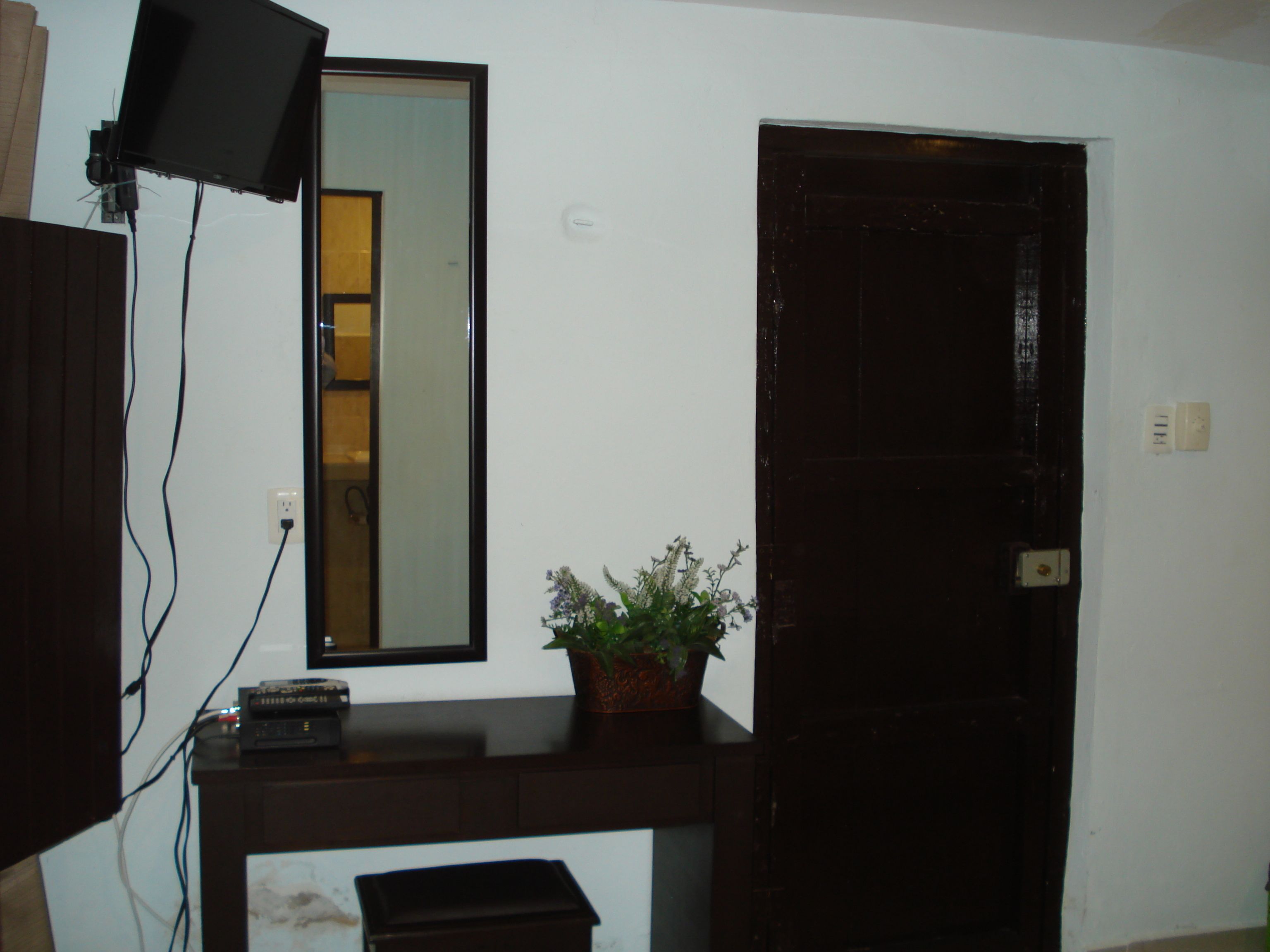Una habitación con una puerta de madera oscura, un espejo en la pared, una planta sobre una mesita y un televisor sobre un soporte.