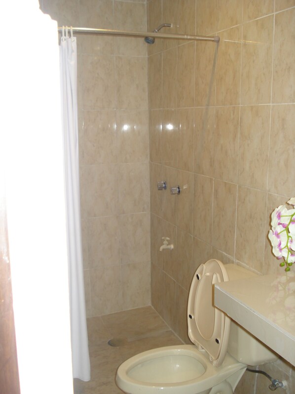 A bathroom with a shower, toilet, and a sink with a flower vase.