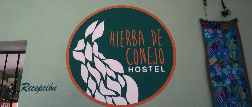 Foto - Hierba De Conejo Hostel