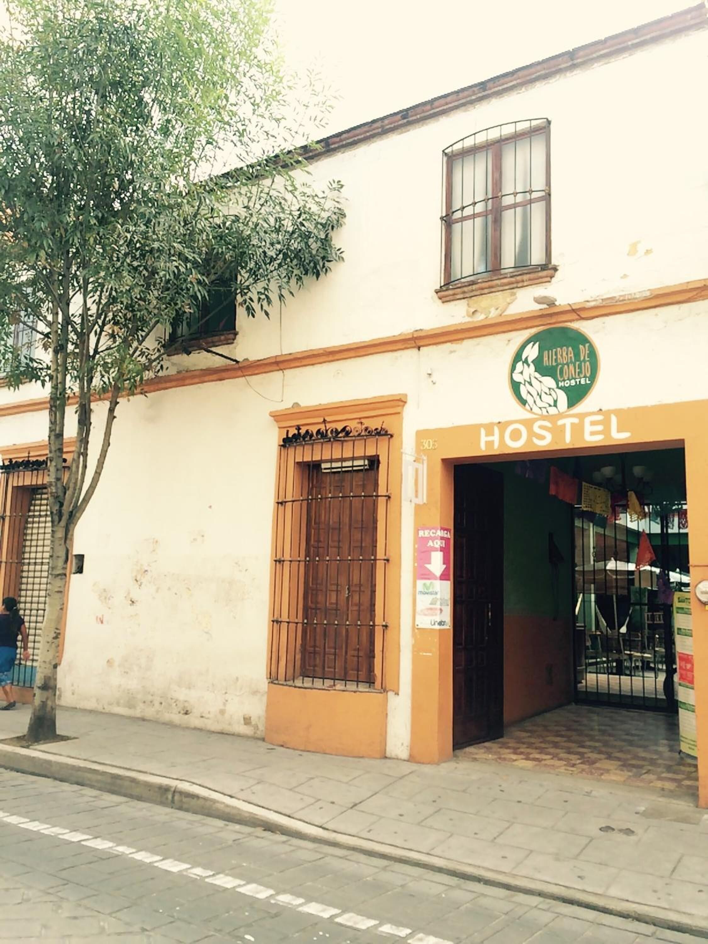 Foto - Hierba De Conejo Hostel