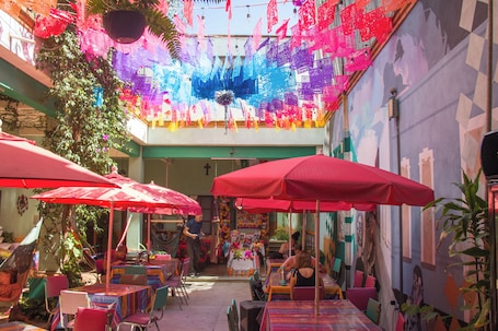 Terraza o patio. Hierba de Conejo - Hostel