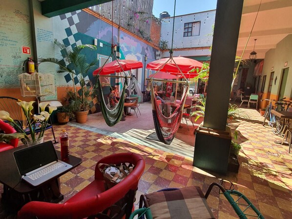 Property grounds - Hierba de Conejo - Hostel (Oaxaca)