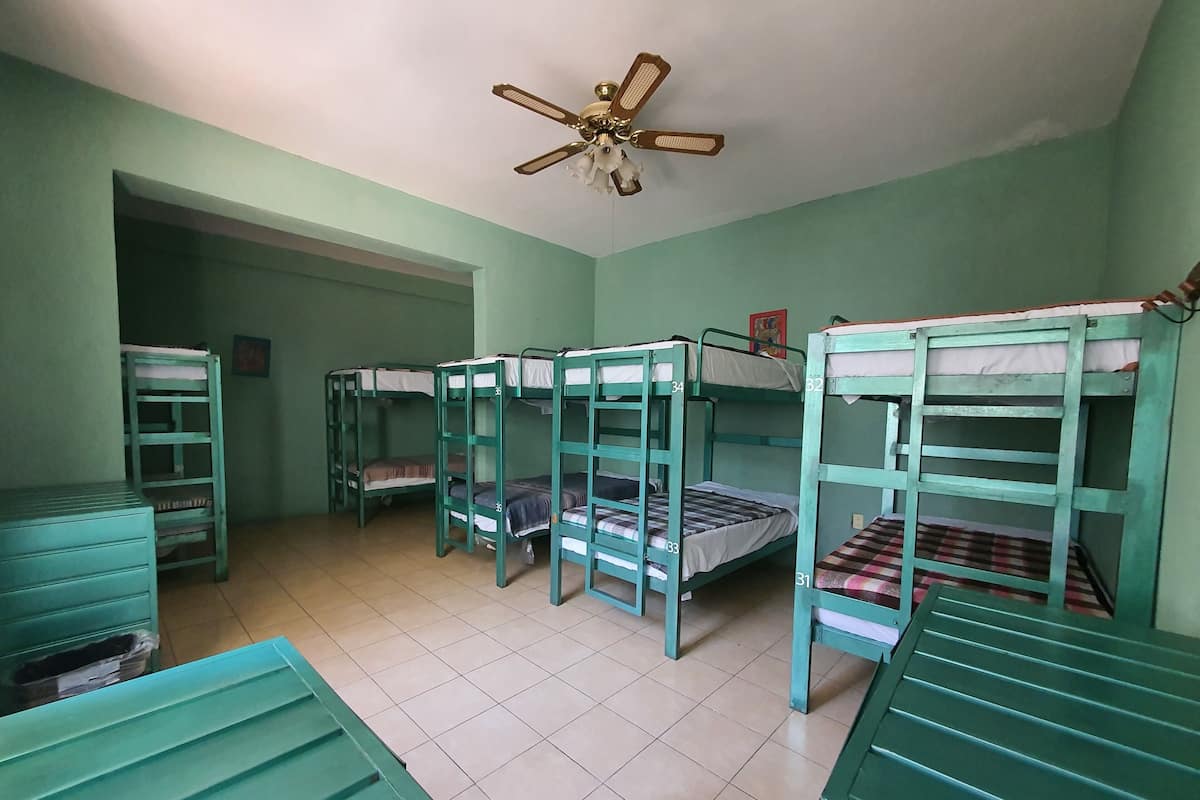 Dormitorio condiviso Economy, dormitorio misto (10 beds) | Ferro/asse da stiro, Wi-Fi gratuito, lenzuola