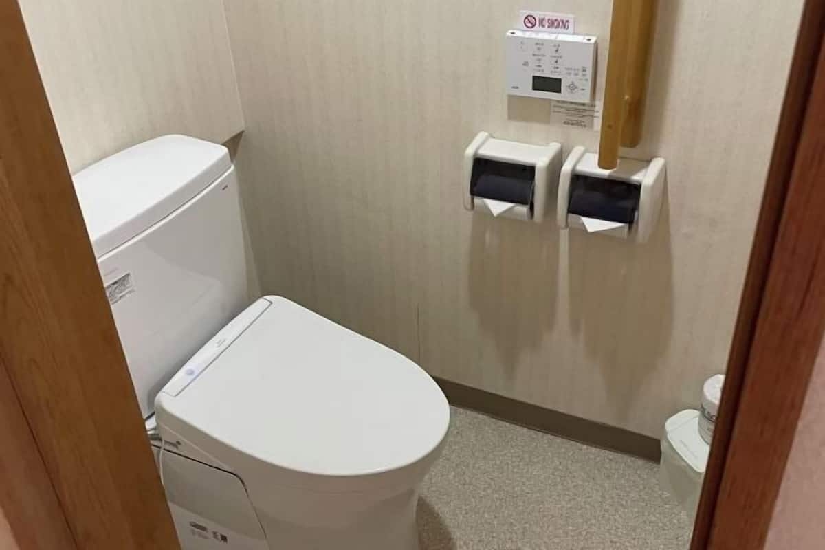 Separate bathtub and shower, free toiletries, hair dryer, slippers