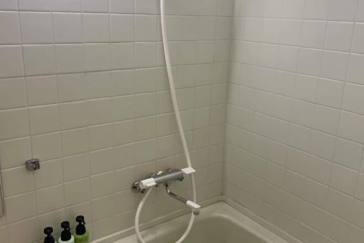 Separate bathtub and shower, free toiletries, hair dryer, slippers