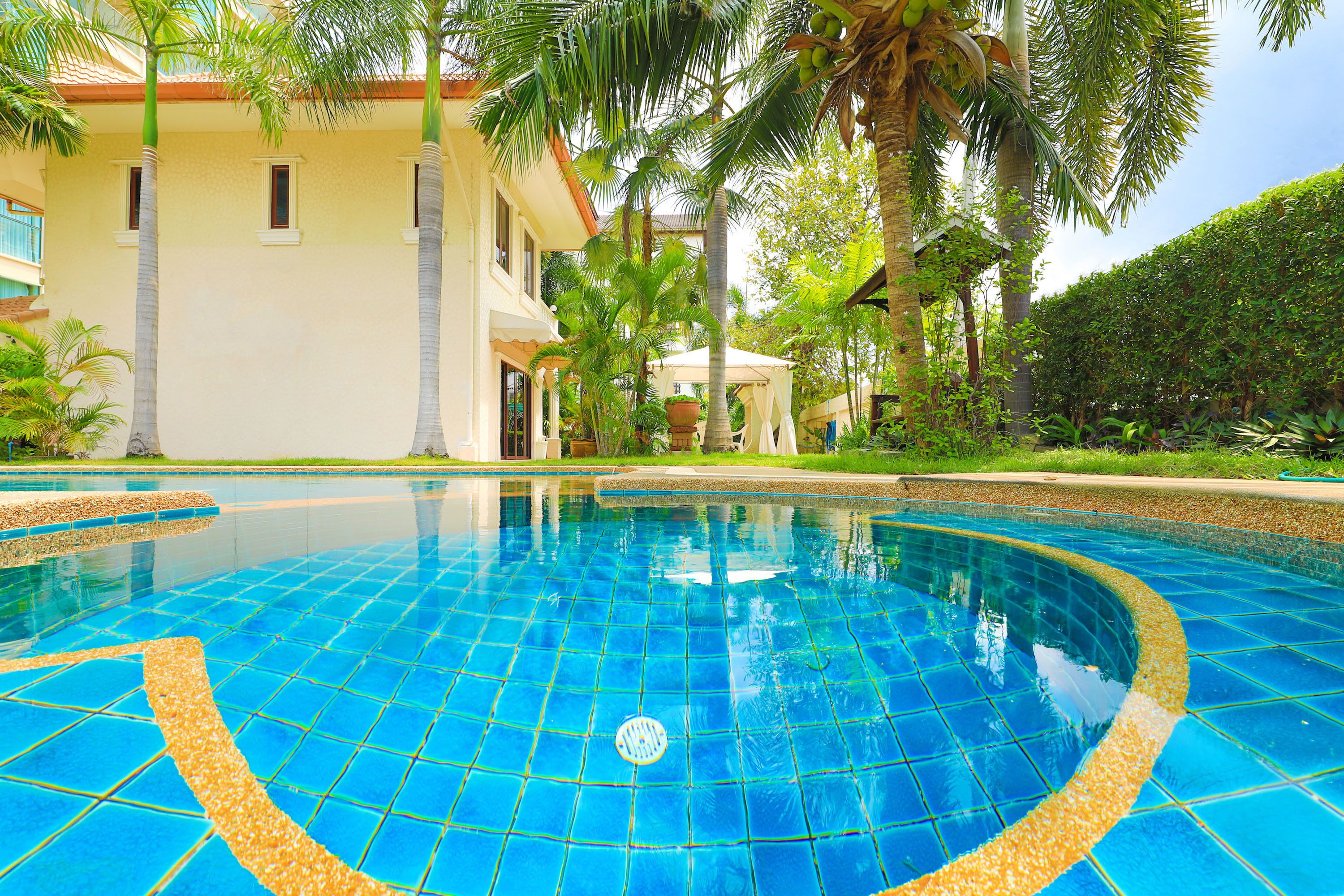 A swimming pool with blue tiles and a palm tree in the background.