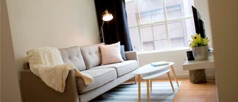 Flat-screen TV, DVD player, pay films