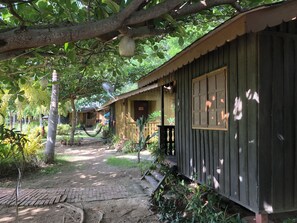 A rustic wooden cabin with a paved pathway leading to the entrance.