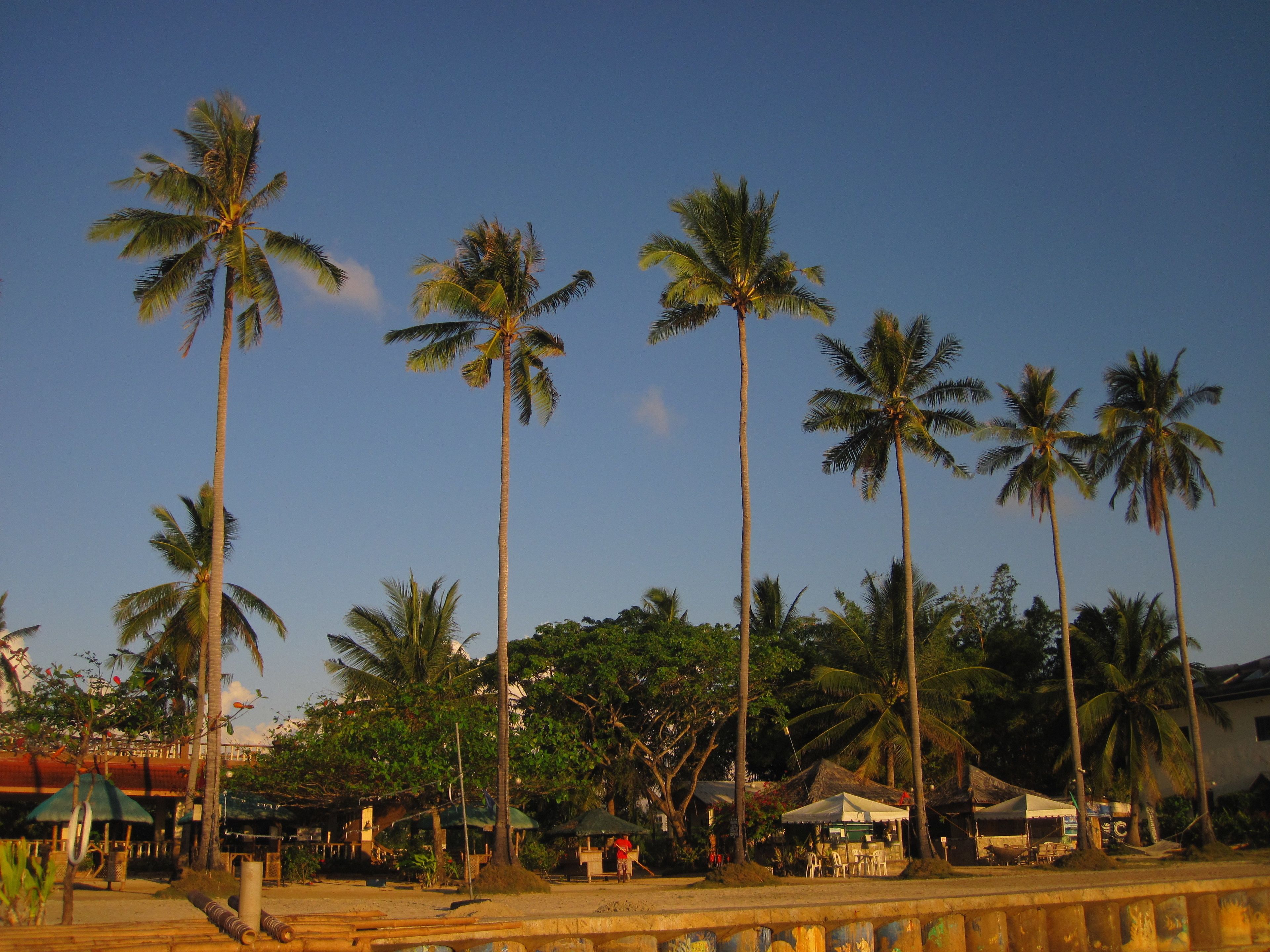 private beach, beach volleyball, beach bar, kayaking