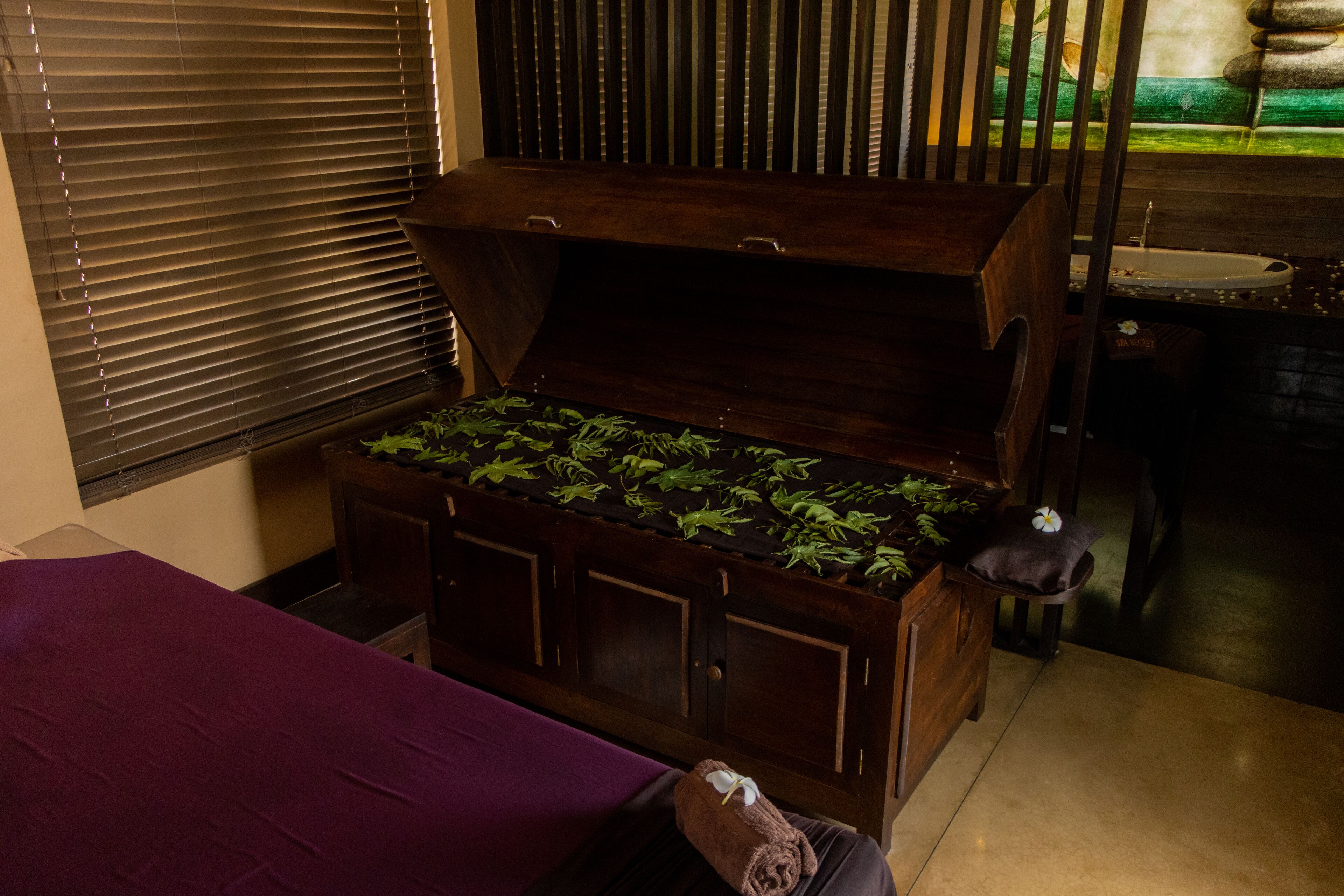 A room with a bed, a wooden chest with plants, a window with blinds, and a sink.