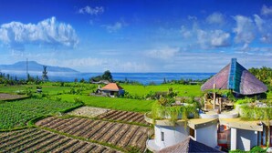 A tropical resort with a thatched-roof pavilion, lush green fields, and a mountain in the background.